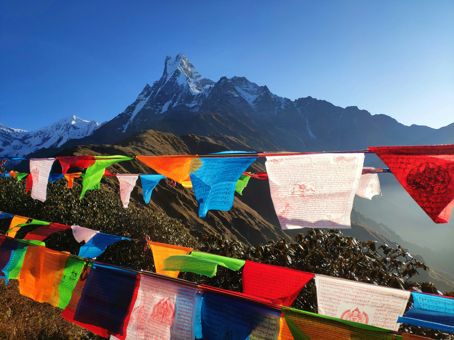 Nepal Exclusive